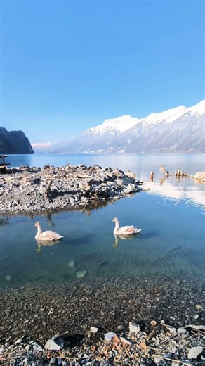 Patagonia in 60 Seconds ❄️🏔️ | Cinematic Shorts #patagonia #argentina #chile #bariloche