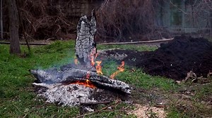 Wisconsin backyard tree explodes after sudden lightning strike