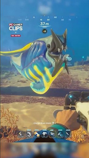 Subnautica 2 mod lets you kill all the fish you want 🪼