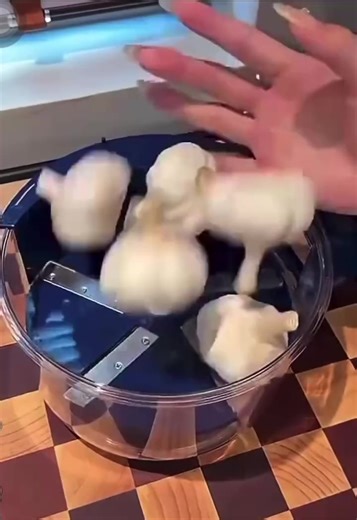 🧄 قشارة الثوم الكهربائية – الحل السريع لمطبخك! مللتي من تقشير الثوم بيدك؟ للطلب اتصل بنا >> 0798180089 /// 0792066630 بهالجهاز الذكي بتقشري الثوم خلال ثواني وبنظافة تامة 👌 ✅ تصميم عملي وخفيف ✅ سهلة التنظيف خلدا / اشاره العساف / مجمع بيت العمر رقم 209 / بجانب محطه جيبترول / الطابق الارضي | عمان ستور