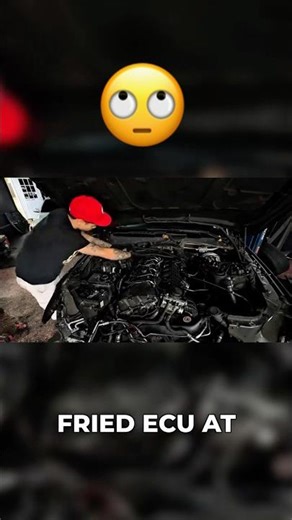 N54 Wiring Harness: Avoid Misfires & Fried ECUs! ⚠️