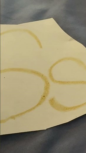 Sesame Street Letter S Spider Sock Snake Seahorses (2003)