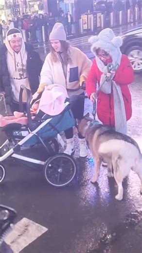 Velma, Tupac & Family in Kog Times Square NYC 021926