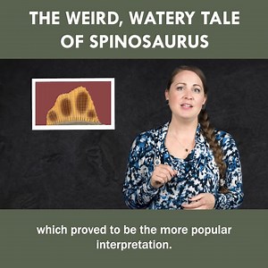 76K views · 2.1K reactions | The Weird, Watery Tale of Spinosaurus | Eons • PBS | Facebook