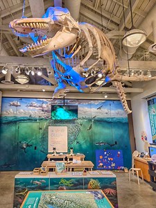 An easy stop while exploring Port Townsend, Washington. 🌊 The Port Townsend Marine Science Center brings the Salish Sea to life with hands-on exhibits, real marine specimens, and ocean science that’s fun for all ages. 🐋 Located at Fort Worden State Park, it’s a great place to learn, wander, and enjoy the coastal setting. 🌲⚓ #porttownsendwa #explorewashington #pnw #pacificnorthwest #exploremore | The PNW Bucket List