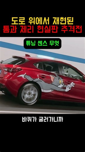 도로 위에서 재현된 톰과 제리 현실판 추격전