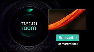 21 reactions |  Time lapse video of pills dissolving in water | Ramotion | Facebook