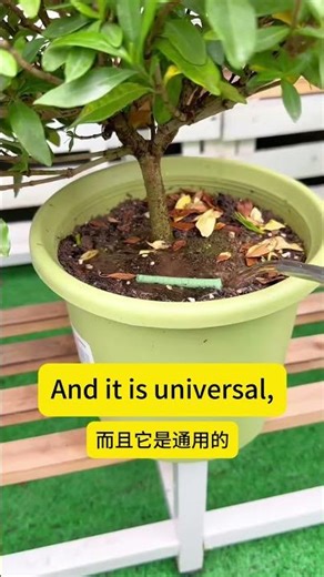 Plant Emergency Kit Slow release Fertilizer.Fertilizer