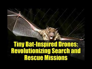 Tiny Bat-Inspired Drones: Revolutionizing Search and Rescue Missions