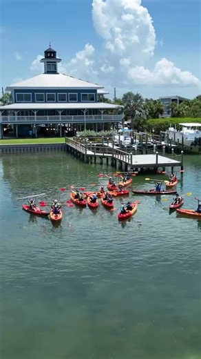 2025 was one for the books! 🎉 Cheers to restoring more shoreline and building community in 2026! Happy new year! We are excited to continue restoring the bay every day! 💙 | Tampa Bay Watch