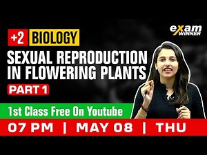 Plus Two Biology | Sexual Reproduction in Flowering plants | Part 1 | Exam Winner