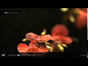 Particle Builder - Example Scene: Bee