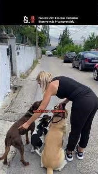Special: Podencos, the most misunderstood dog - Podcast 299 of perrosypunto