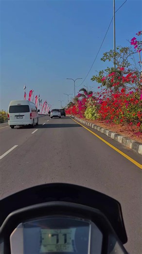 Pemandangan Bunga di Lombok: Cantik di Sepanjang Jalan 🌼