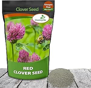 Outsidepride Perennial Red Clover Seeds - 5 lbs. Self-Seeding, Nitrocoated, Inoculated Clover Seeds for Lawn, Yard, Forage, Pasture, Hay, Nitrogen Fixation, Soil Improvement & Crop Rotation Programs