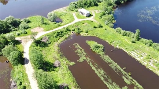 Water, Nature, River. Free Stock Video