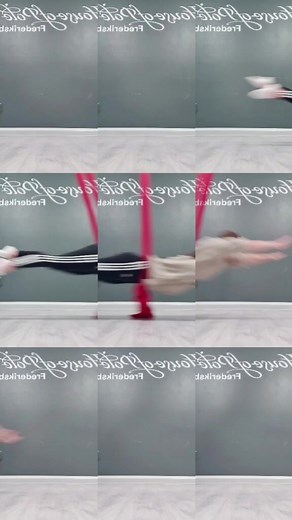 Reaching New Heights: The Fly Challenge