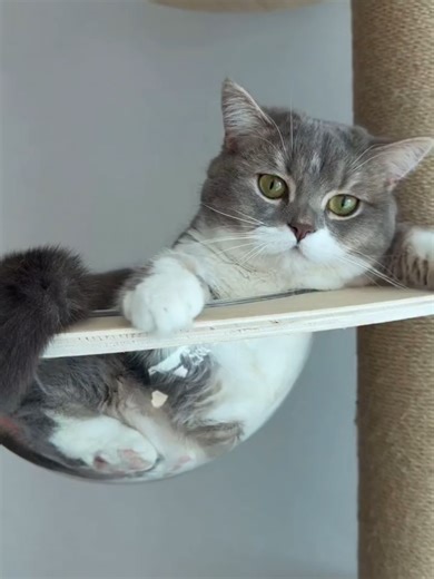 Master Video Games Simplified: Tips and Tricks