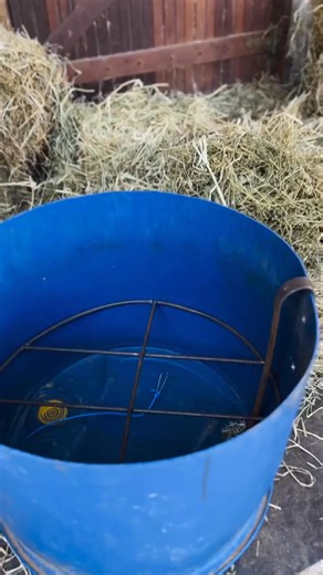 DIY Slow Feeder 🐴 🎥 @natalia.zootec | Top Paddock