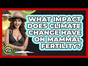 What Impact Does Climate Change Have On Mammal Fertility?