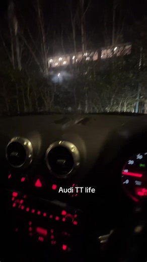Experiencing Life with an Old Audi TT