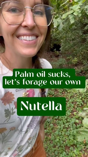 🌰🍫lt definitely feels like a mast year for chestnuts around here! At this little park near my house, we gathered more in about 20 minutes than I usually do for the whole season. This part of Western North Carolina, and large part of the eastern side of the country, used to be covered in massive American chestnut trees which dominated the forest. When the tree in this video, the Chinese chestnut, was brought over here, it carried with it a disease which (paired with late 19th century greed for 