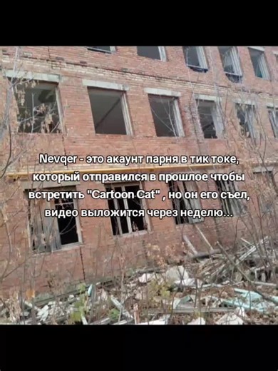 #dreamcore | cartoon cat