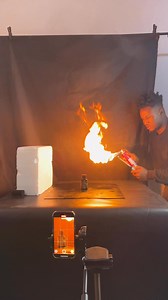 🔥 🎥 | fresh.main