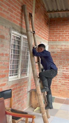 ¡ESTO NO ES NORMAL! El bombillo más potente de Dollarcity ⚡️#dollarcity #shorts