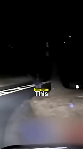 Wrong Suspect Detainment: A Cautionary Tale