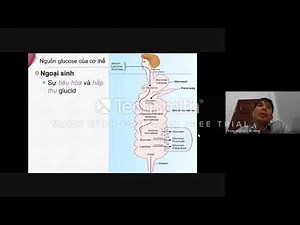 Chương 4 Chuyển hóa glucid part 4 1