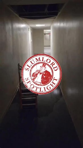 ACP Ontario on Instagram: "The Future Belongs to the Working Class acp.us/join"