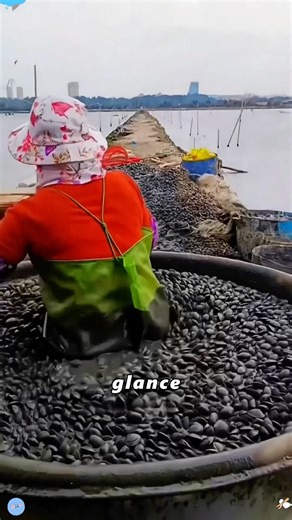 Why do people use mud to clean clams?#didyouknow#knowledge#amazing#fyp