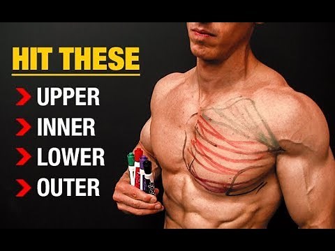Targeted Chest Workouts - Is it Possible? (SCIENTIFIC TRUTH!)