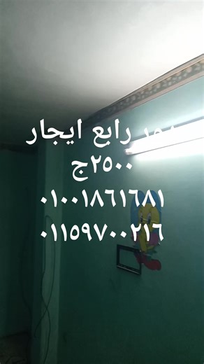 Mohamed Abdo on Reels