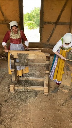 The Complete Process of Flax Processing and the Role of the Linen Manufacturers Board