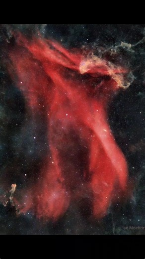 The Great Lacerta Nebula, One of The Largest Nebulas on The Sky, #shorts