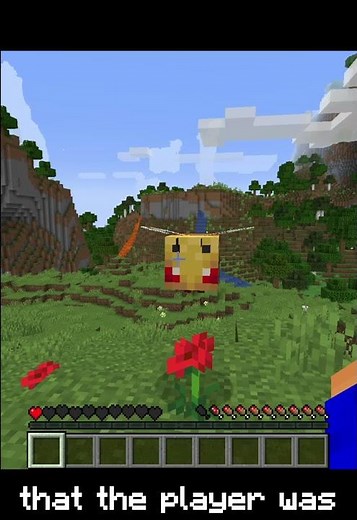 Minecraft's Secret Death Message! (1.17)