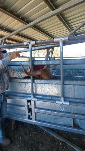 772K views · 6.3K reactions | We are often asked how we are able to...