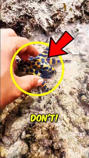 3 Harmless Things That Can Kill You Instantly 😱