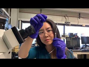 Georgetown University Center For Neuroengineering