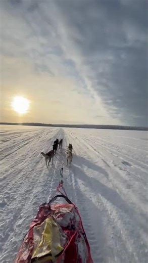 Wilderness tour, Äkäskero Sleddogcenter, Muonio Lapland