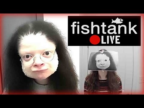 my personal favorite fishtank.live moments