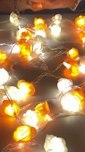 11K views · 67 reactions | Little Rose String Light | HT Bazar | Facebook