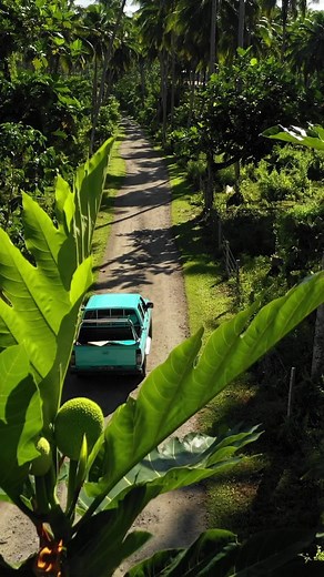 Discover the Beauty of Samoa Through This Captivating Video