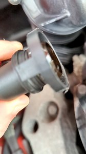 Should there be this much oil in the PCV hose? If no, is a new membrane likely to fix it? Accompanied by random oil plumes from exhaust when pulling off after an hour or two of driving.