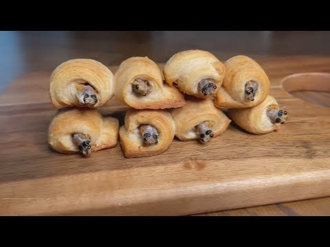 Would You Ever Eat Cicadas?