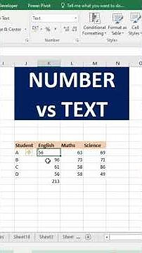 Excel's Number Format WARNINGS You Need to Know