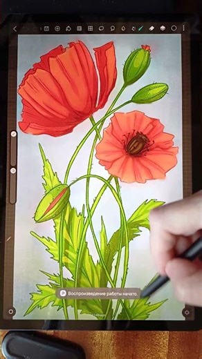 HiPaint - How to Enable SpeedPaint #samsungtablet #android #hipaint #android #shorts #hipainttuto...