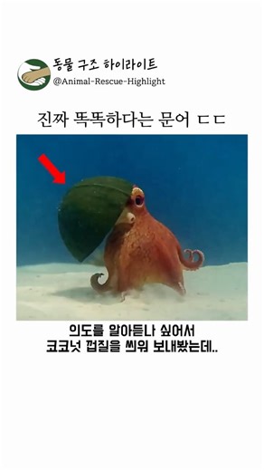 인간의 의도를 파악하는 문어 ㄷㄷ